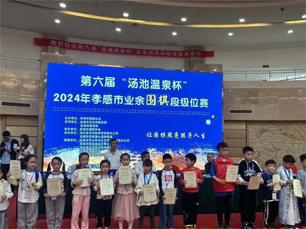 2024年湖北省第一期围棋业余高段赛落幕